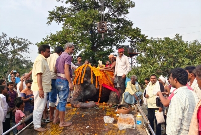 बिहार: मौत के बाद 'अनारकली' को दी गई सम्मानजनक विदाई, दहेज में मिली थी हथिनी बिहार: मौत के बाद 'अनारकली' को दी गई सम्मानजनक विदाई, दहेज में मिली थी हथिनी