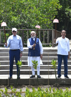 प्रधानमंत्री मोदी ने बाली में जी-20 शिखर सम्मेलन के दौरान मैंग्रोव जंगलों का दौरा किया प्रधानमंत्री मोदी ने बाली में जी-20 शिखर सम्मेलन के दौरान मैंग्रोव जंगलों का दौरा किया