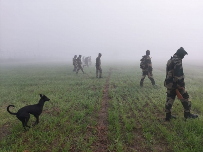 भारत पाक सीमा पर फिर दिखा पाक ड्रोन, सुरक्षा बलों ने गोलीबारी कर खदेड़ा