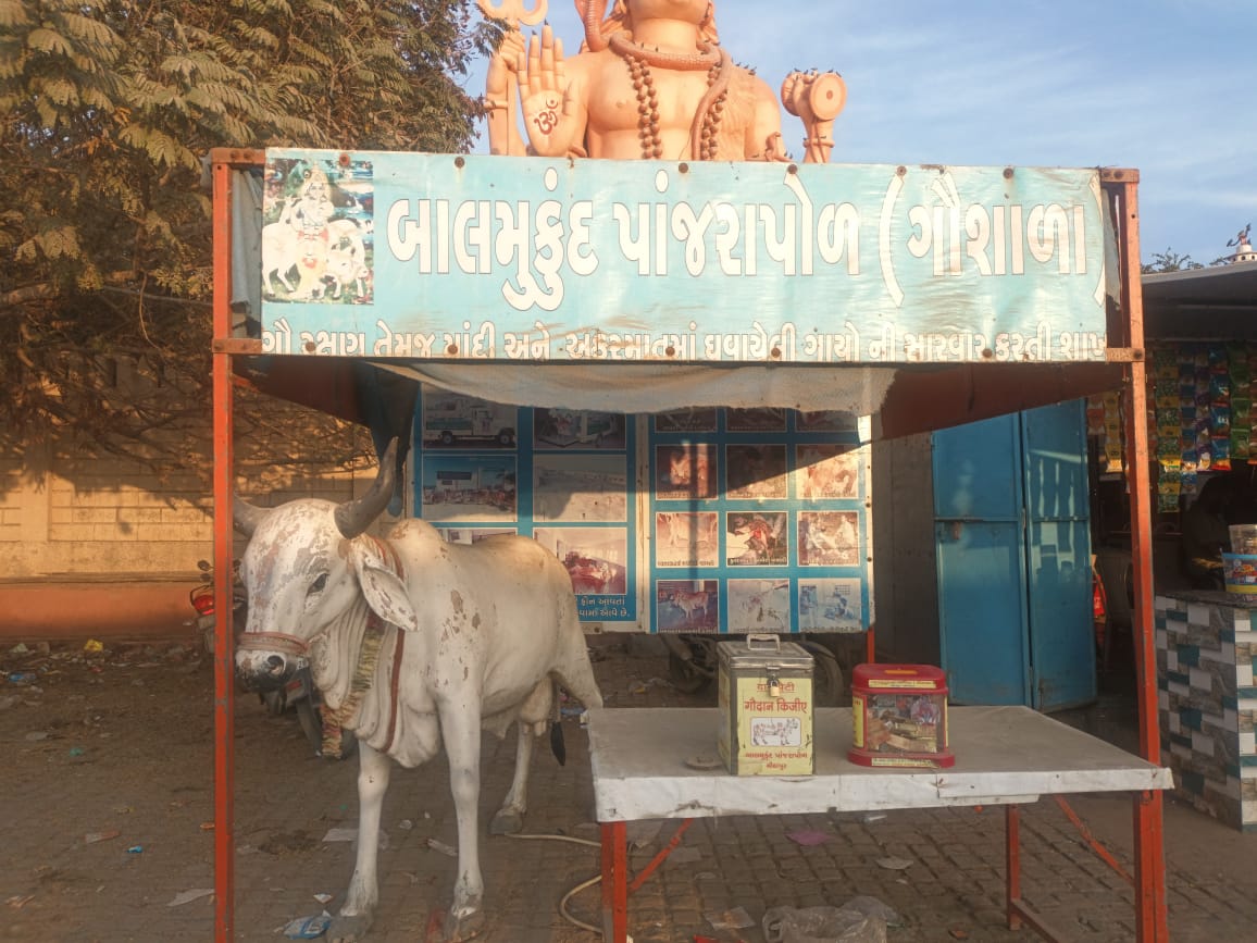 काश! मोदी ने नागेश्वर को निहार लिया होता..