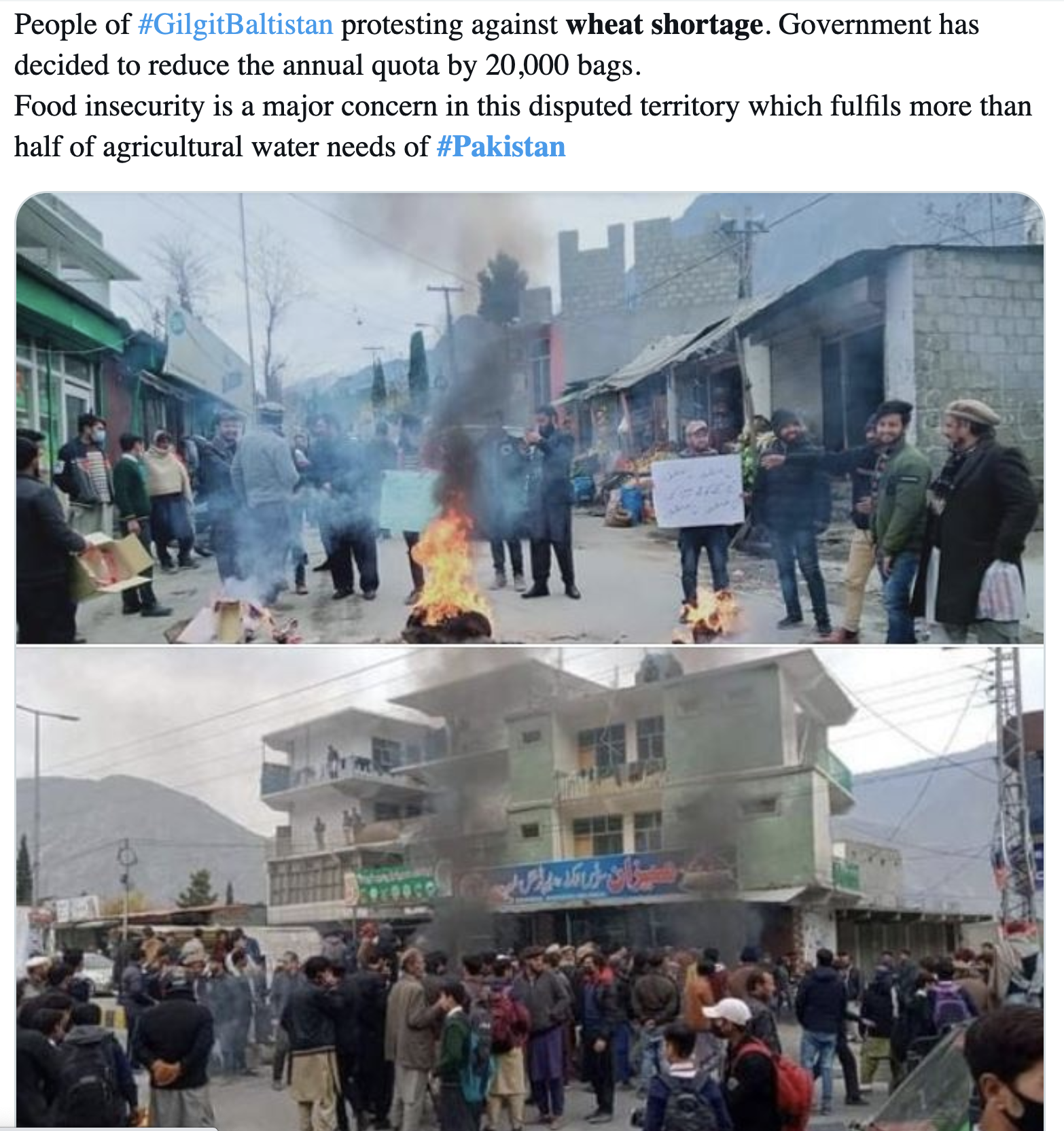पाकिस्तान में गेहूं का गंभीर संकट, वजह पैदावार या सियासत? पाकिस्तान में गेहूं का गंभीर संकट, वजह पैदावार या सियासत?