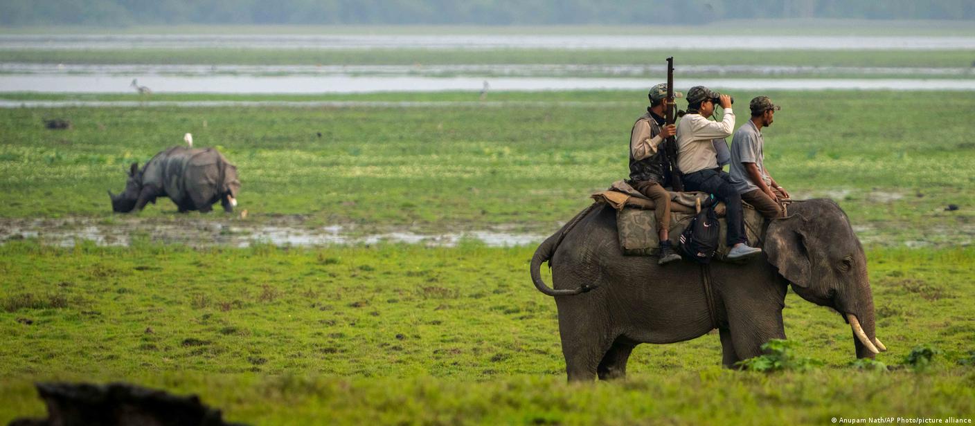 असम में एक सींग वाले गैंडों का शिकार रोकने में कामयाबी