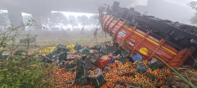 घने कोहरे के चलते करीब 40 फीट नीचे गिरा टमाटर से भरा कैंटर, 2 घायल
