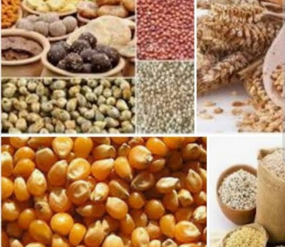 यूपी में मोटे अनाजों की खेती के लिए करीब 1.5 लाख किसान होंगे प्रशिक्षित यूपी में मोटे अनाजों की खेती के लिए करीब 1.5 लाख किसान होंगे प्रशिक्षित