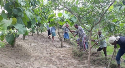 पर्यावरण संरक्षण के लिए शख्स ने ली है अविवाहित रहने की 'भीष्म प्रतिज्ञा' पर्यावरण संरक्षण के लिए शख्स ने ली है अविवाहित रहने की 'भीष्म प्रतिज्ञा'