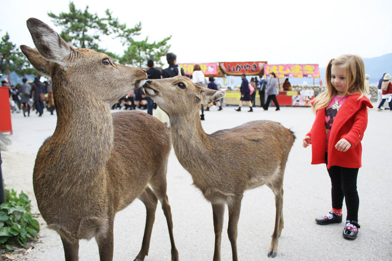 बूढ़े होते जापान में पैदा हों और बच्चे, सरकार ने खोला खजाना पर क्या बनेगी बात?‘