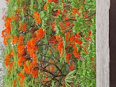 नोएडा में मौसम हुआ सुहावना, 4 मई तक रहेगी गर्मी से राहत