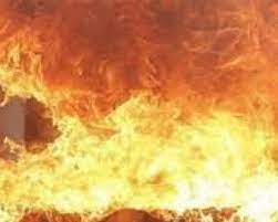 न्यूजीलैंड के एक हॉस्टल में आग लगने से छह लोगों की मौत