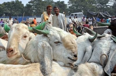 इस्लामिक सेंटर ने बकरीद के लिए जारी की एडवाइजरी इस्लामिक सेंटर ने बकरीद के लिए जारी की एडवाइजरी
