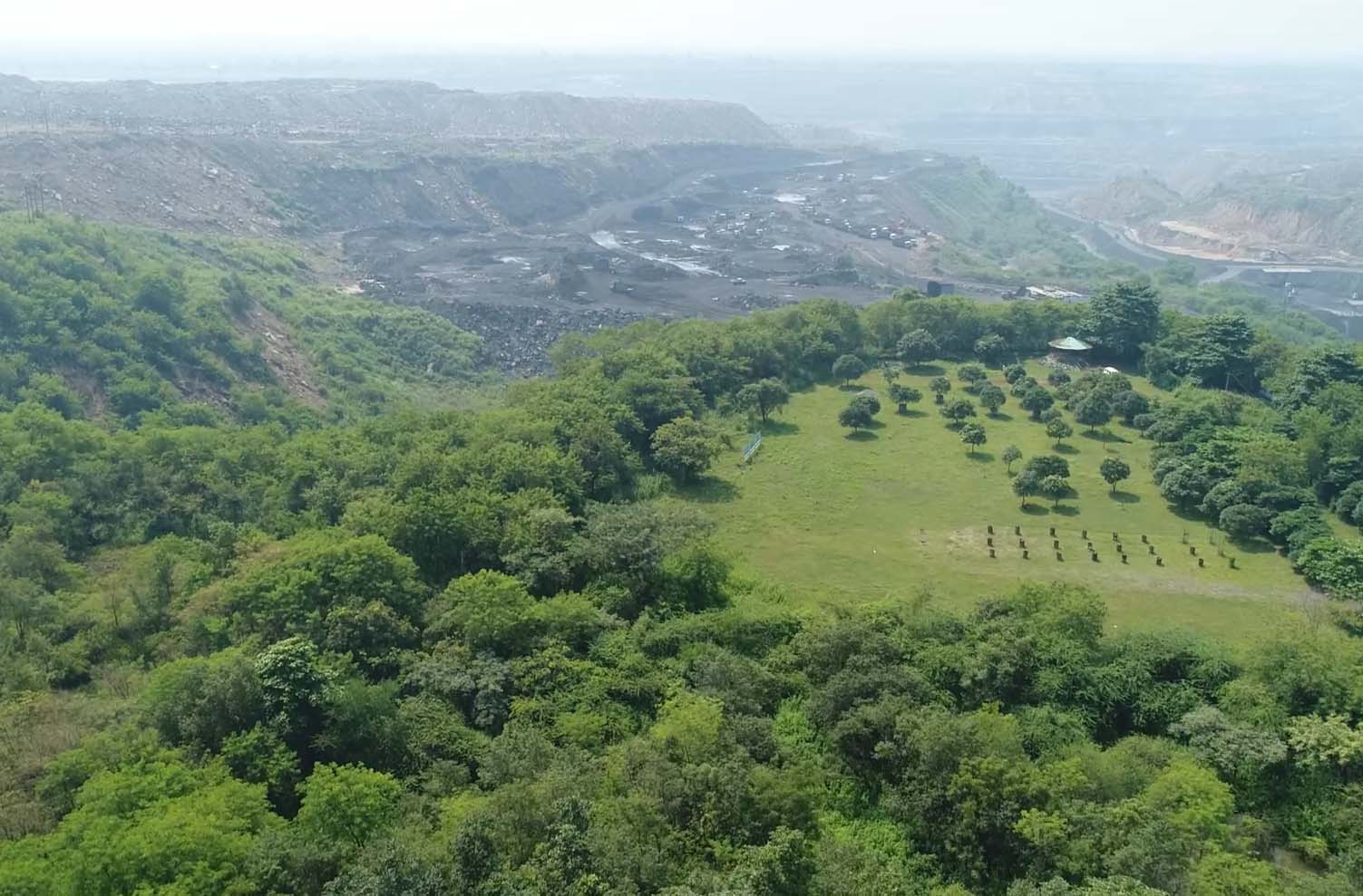 पांच सालों में हम लगाएंगे 26 लाख पौधे-एसईसीएल 