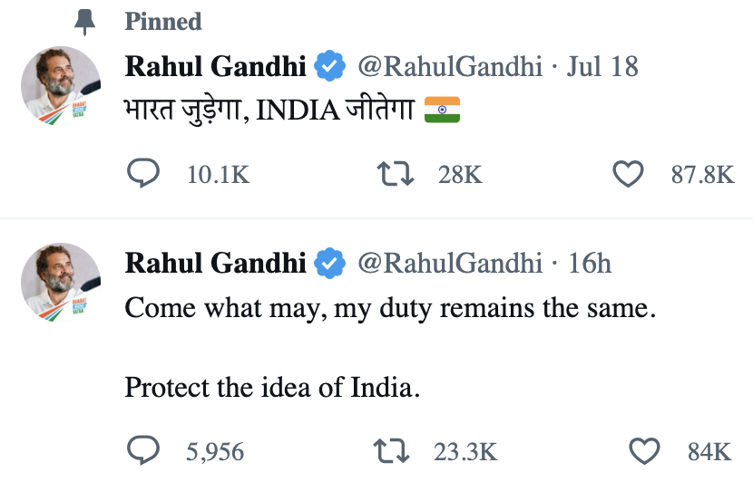 चींटी मारने हथोड़े का इस्तेमाल