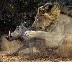 ताकत से लड़ सकता हूँ, गंदगी से नहीं... 