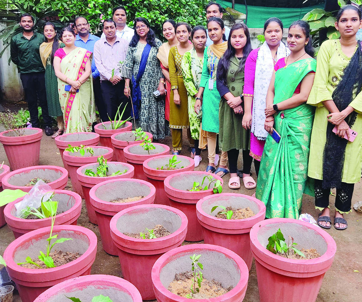 प्रगति कॉलेज में औषधि-पौधरोपण के साथ-साथ देख-रेख का संकल्प