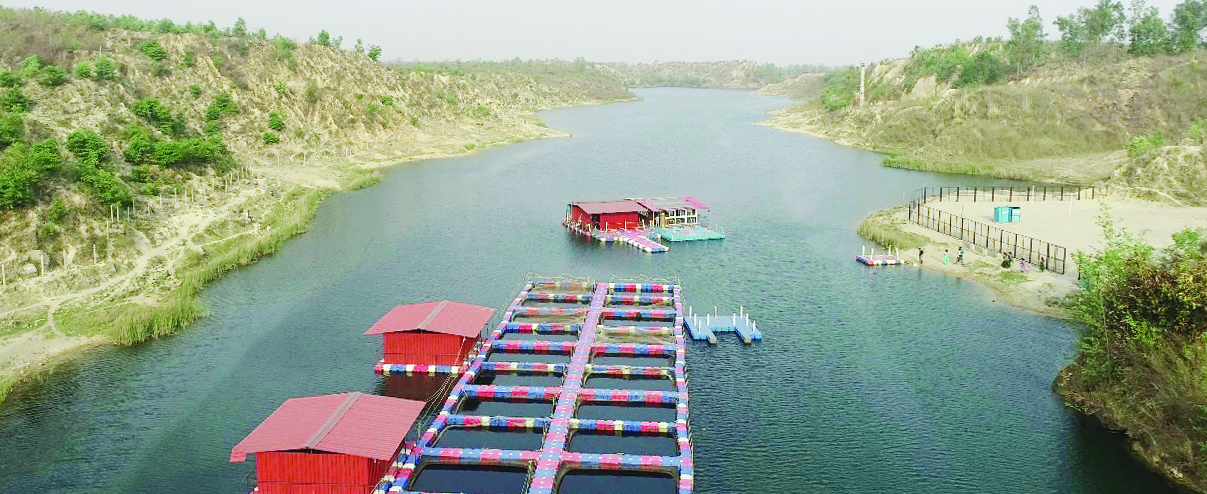 एसईसीएल द्वारा 475 हेक्टेयर भूमि ग्रीन कवर 