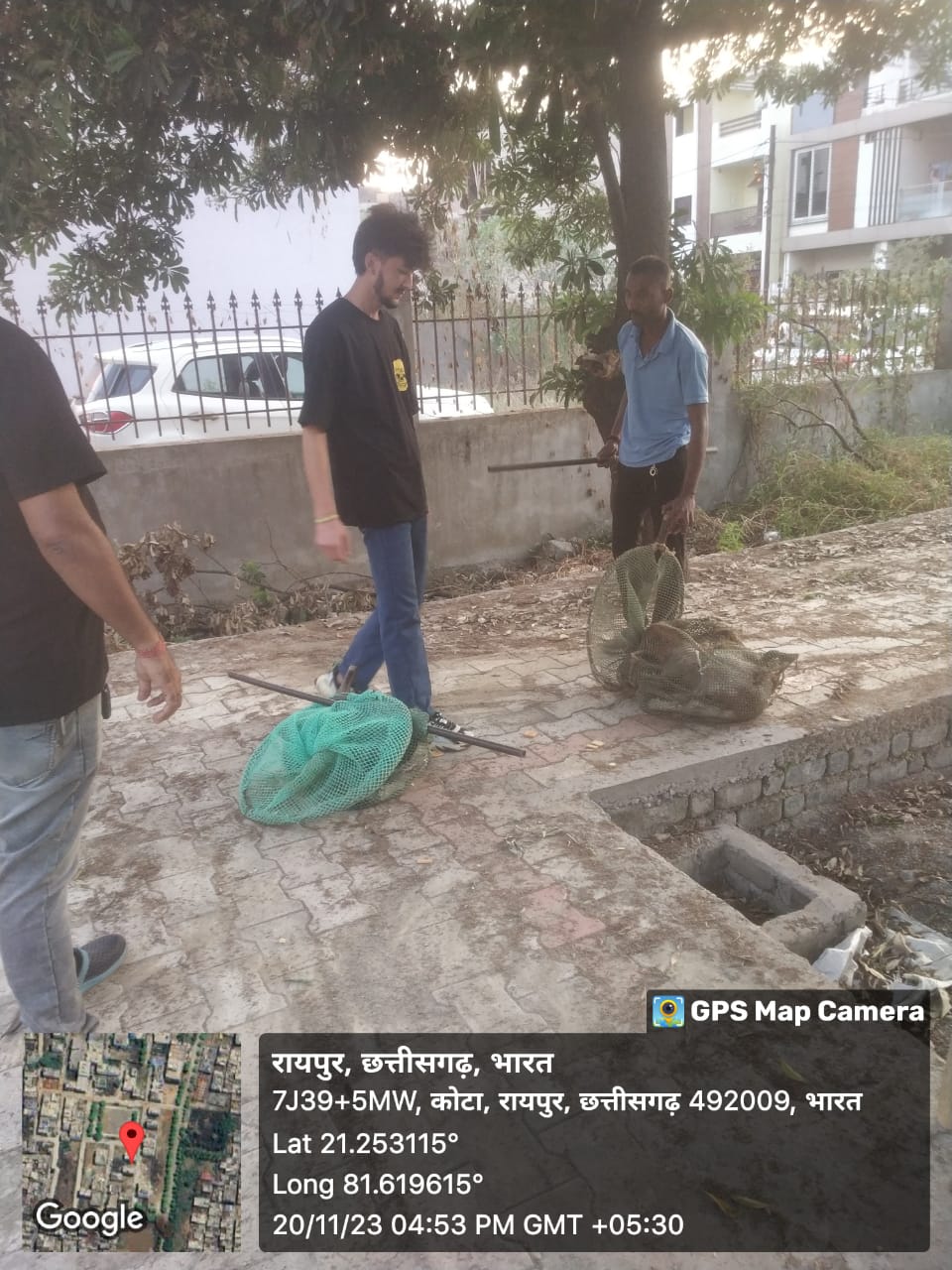 श्वान नसबंदी रोज होती है, गुलमोहर पार्क में दस कुत्ते पकड़े गए हैं