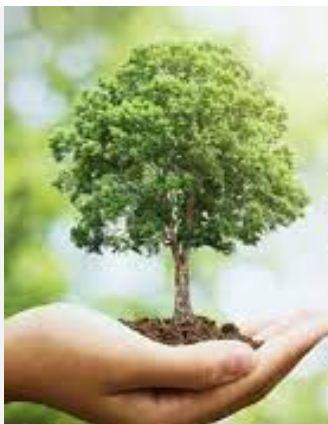 पर्यावरणवाद के 76 वर्ष