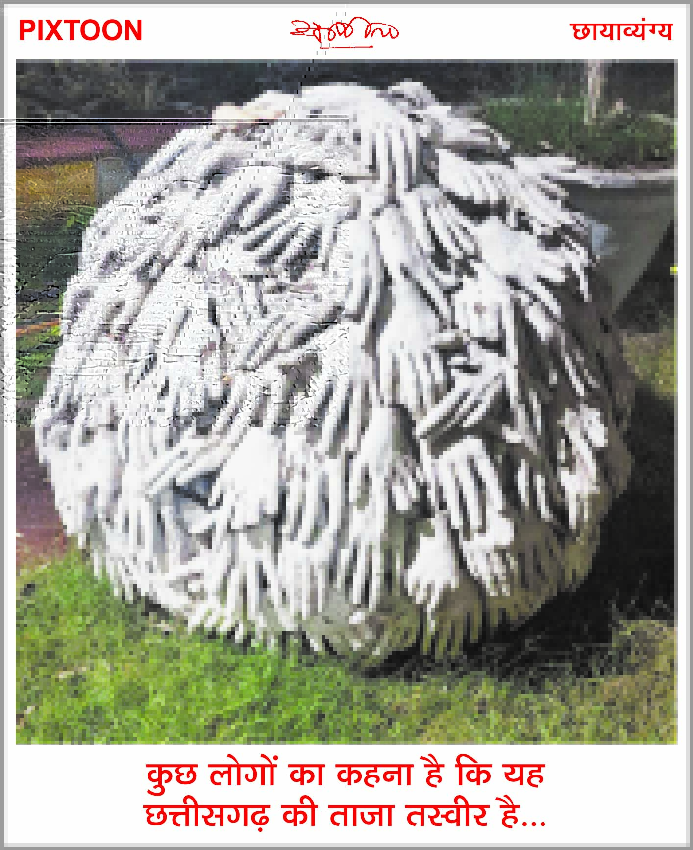 दैनिक 'छत्तीसगढ़' का पिक्सटून, 7 दिसंबर