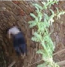 दतिया में पुलिस से बचने के लिए कुएं में कूदे लोग, 1 की मौत