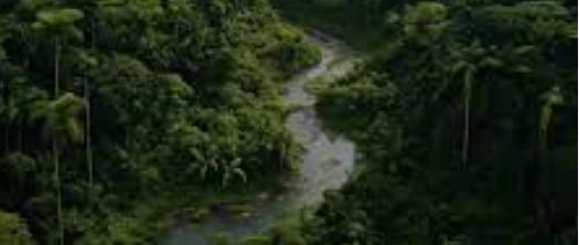 एक सुविधाभोगी समाज की पाखंडी प्रवृत्ति