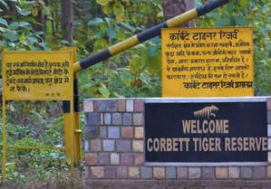जिम कॉर्बेट में सैलानियों के लिए दो किलोमीटर तक का साइकिल ट्रैक तैयार जिम कॉर्बेट में सैलानियों के लिए दो किलोमीटर तक का साइकिल ट्रैक तैयार