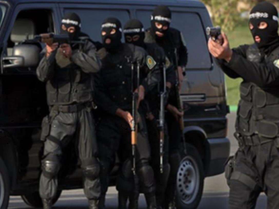 ईरानी सेना ने पाकिस्तान में जैश अल-अदल आतंकवादी समूह के कमांडर को मार गिराया