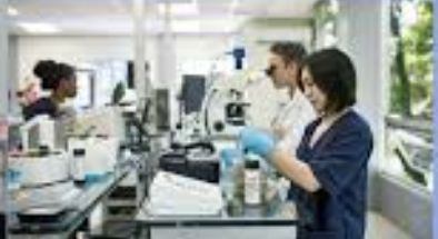 अभी-अभी मुझे पैथोलॉजिकल झूठ