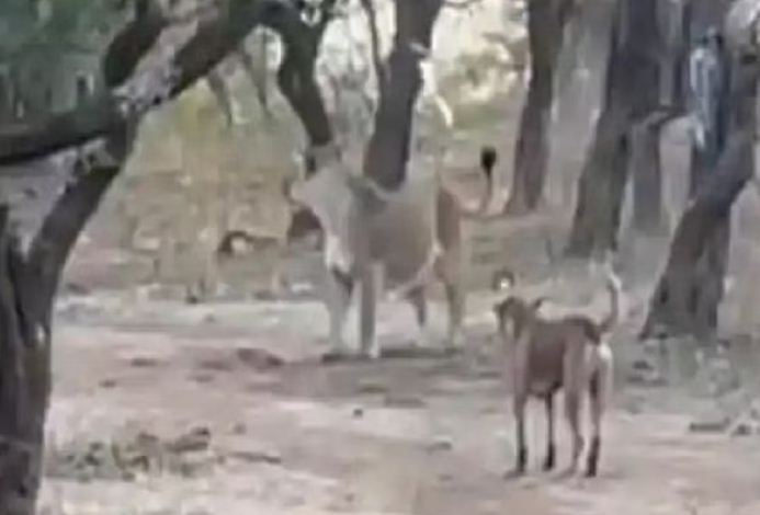 स्त्री लगातार घर में रहते संघर्ष करना भूल गई