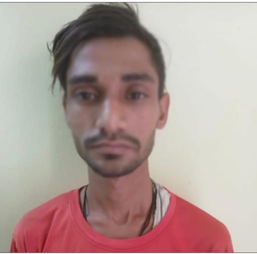 घरेलू सहायिका को खुदकुशी के लिए उकसाने के आरोप में एक गिरफ्तार घरेलू सहायिका को खुदकुशी के लिए उकसाने के आरोप में एक गिरफ्तार