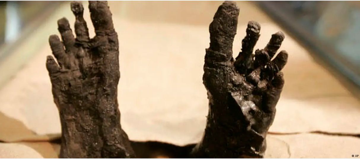 अब ममी को ममी नहीं कहना चाहते संग्रहालय