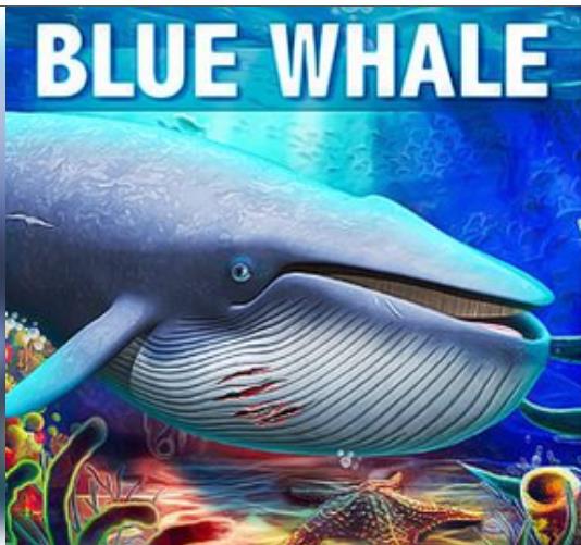 अमेरिका में भारतीय छात्र की मौत ब्लू व्हेल गेम से जुड़ी होने की संभावना