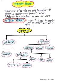 हर्बेरियम का अवसान वनस्पति शास्त्र अध्ययन पर संकट