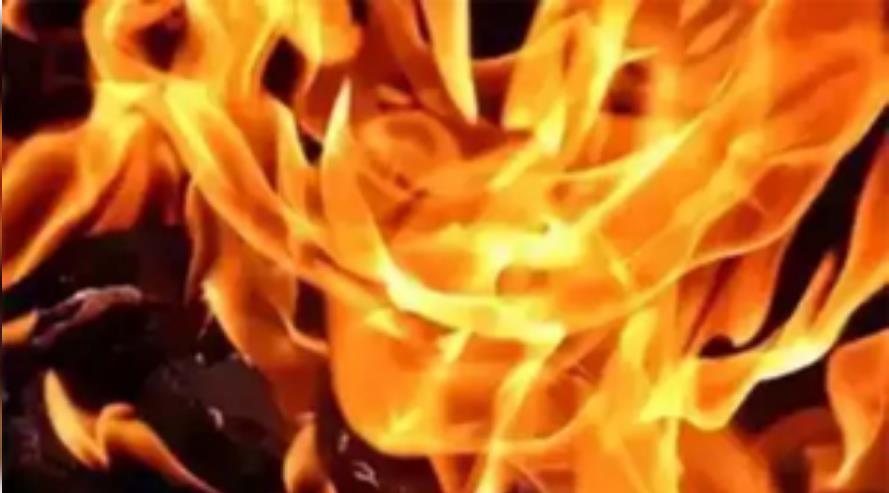 दिल्ली के मंडोली में इमारत में लगी आग, फायर विभाग ने पाया काबू दिल्ली के मंडोली में इमारत में लगी आग, फायर विभाग ने पाया काबू