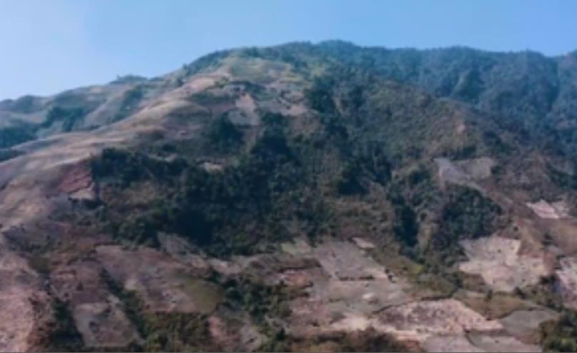 मणिपुर में पोस्ता की खेती के लिए 34 वर्षों में 877 वर्ग किमी वन क्षेत्र नष्ट कर दिया गया : सीएम बीरेन सिंह मणिपुर में पोस्ता की खेती के लिए 34 वर्षों में 877 वर्ग किमी वन क्षेत्र नष्ट कर दिया गया : सीएम बीरेन सिंह