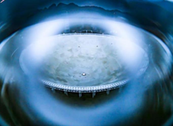 'चीन की स्काई आई' ने खोजे 900 से अधिक नए पल्सर