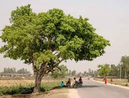 कब आएगा गांवों का अमृत काल! कब आएगा गांवों का अमृत काल!