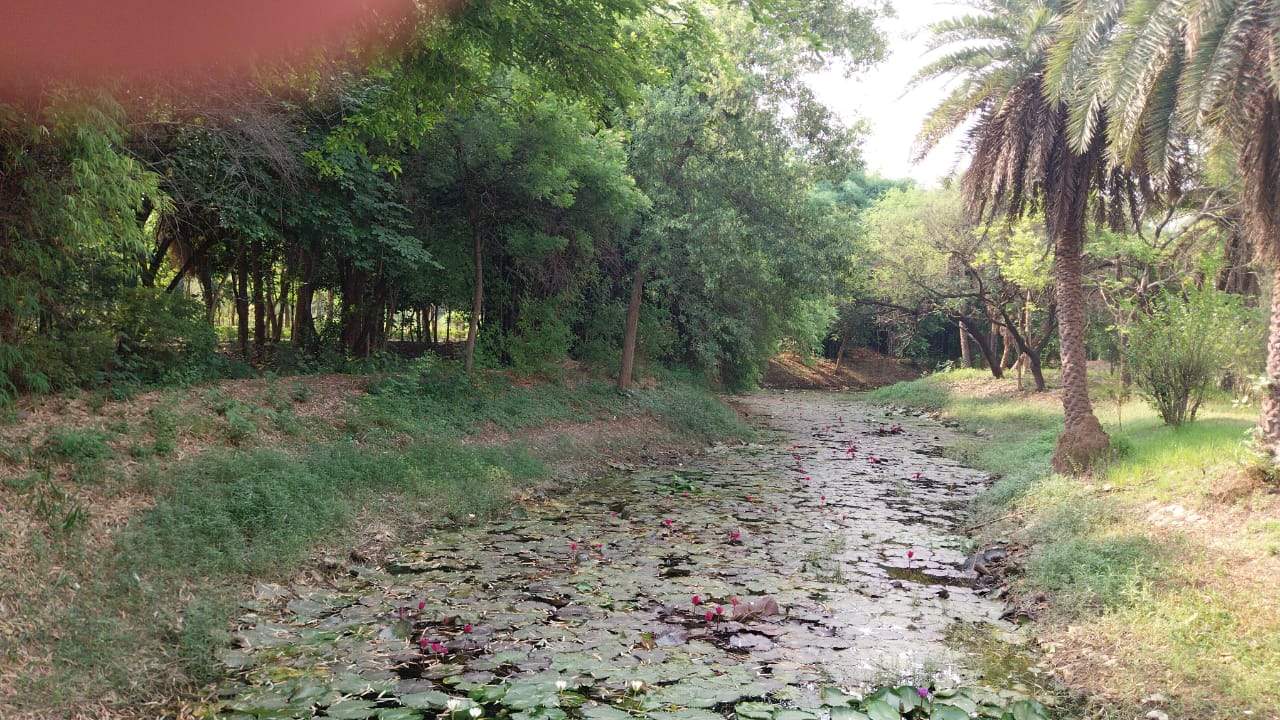 अंतरराष्ट्रीय जैव विविधता दिवस 22 मई : जैव विविधता बिना मानव नहीं