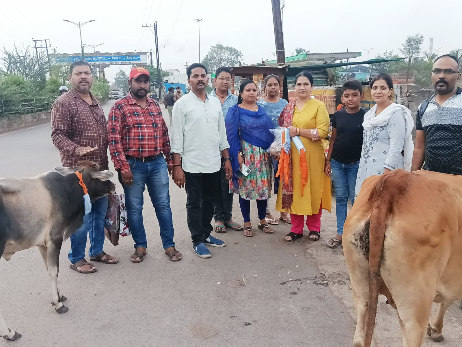 गौ वंश को दुर्घटना से बचाने बांधा रेडियम बेल्ट गौ वंश को दुर्घटना से बचाने बांधा रेडियम बेल्ट