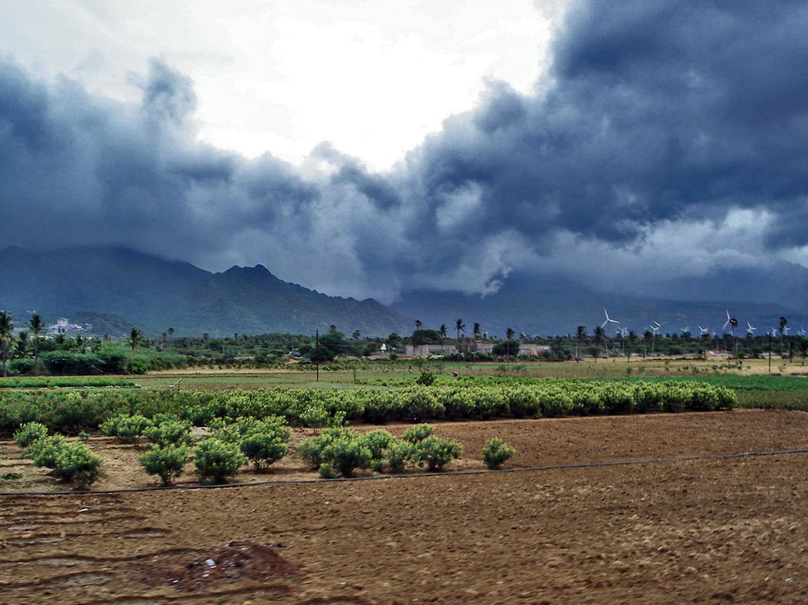 मानसून उत्तर की ओर बढ़ा; विदर्भ, छत्तीसगढ़ तक पहुंचा मानसून उत्तर की ओर बढ़ा; विदर्भ, छत्तीसगढ़ तक पहुंचा