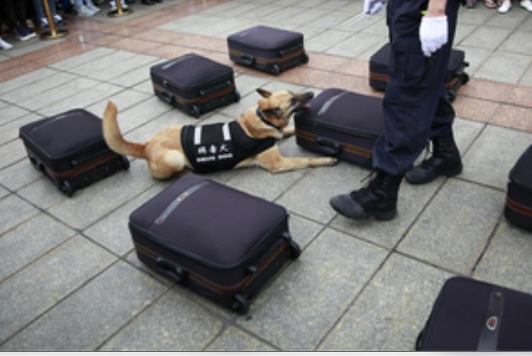 चीनी राष्ट्रीय आव्रजन प्राधिकरण ने 6 महीनों में 4.5 टन ड्रग्स जब्त की 