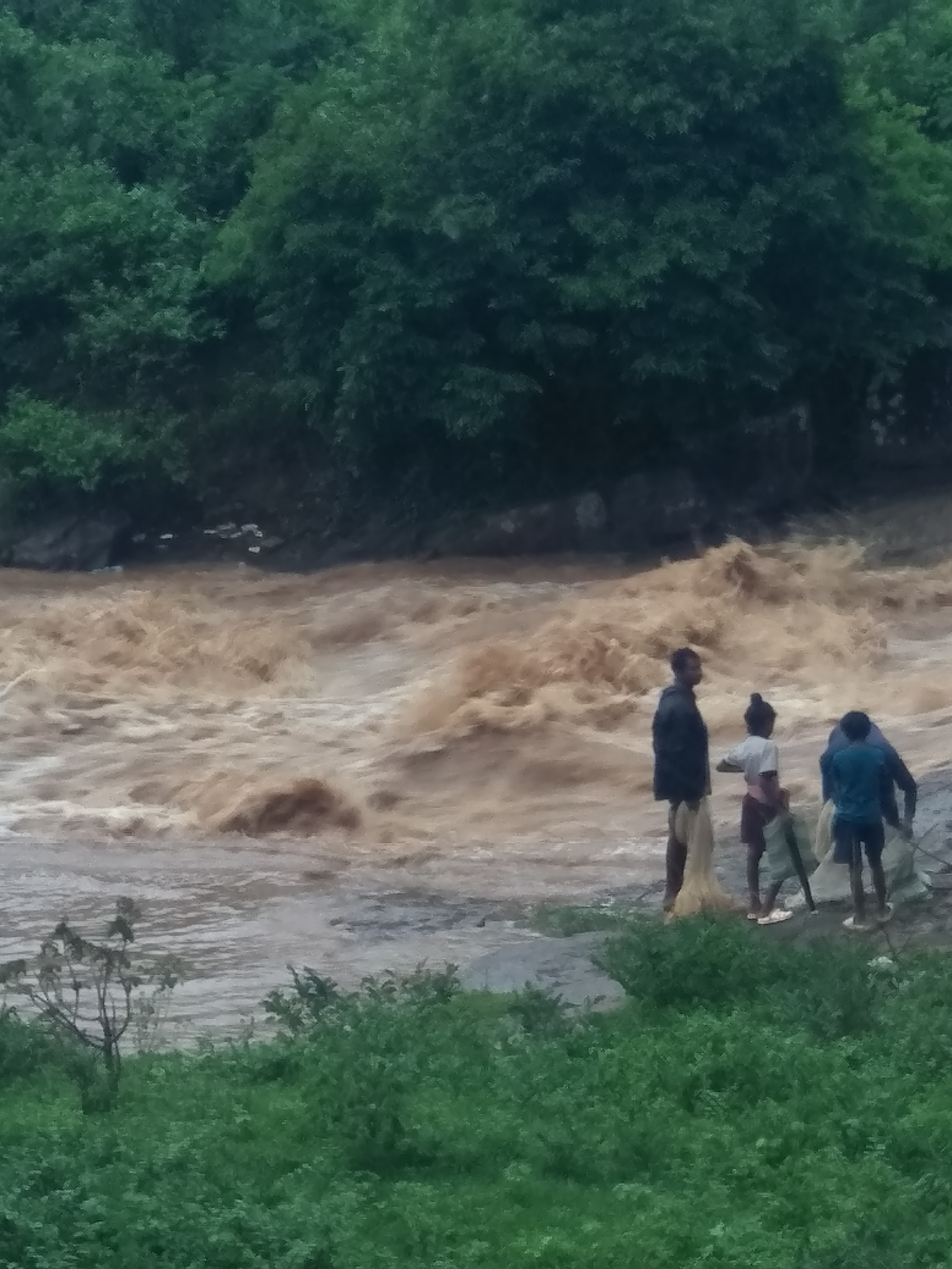 भारी बारिश से नदियां उफान पर भारी बारिश से नदियां उफान पर