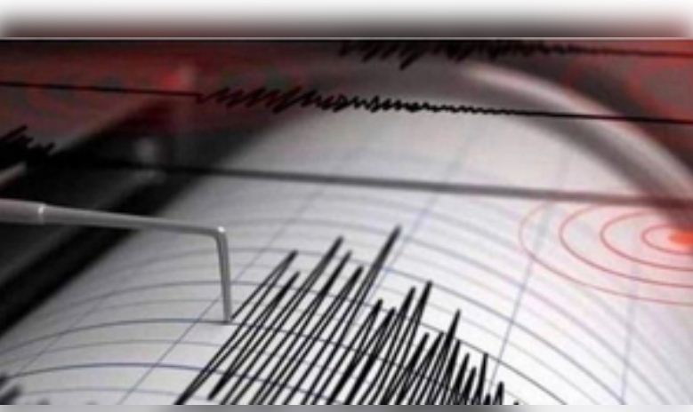 भूकंप के झटकों से दहला जापान का इबाराकी प्रांत, रिक्टर स्केल पर 4.8 रही तीव्रता 