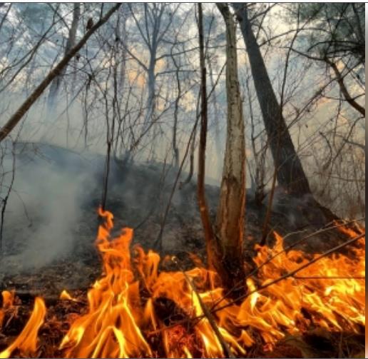 कैलिफोर्निया में भीषण आग, हजारों लोगों को निकाला गया 