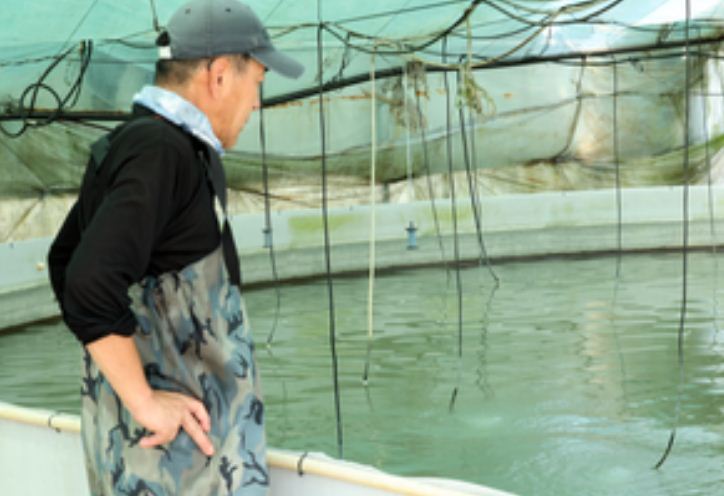 दक्षिण कोरिया में पड़ रही भीषण गर्मी से 18 लोगों की मौत 