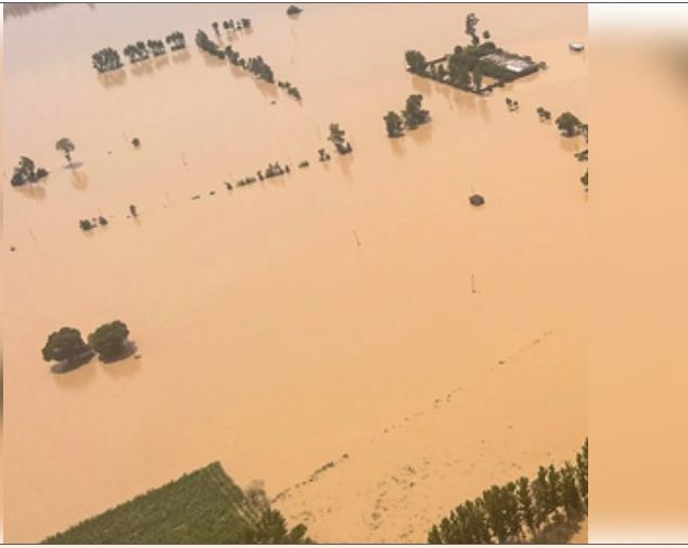 उत्तरी चाड में लगातार बारिश के बाद आई बाढ़ में 50 से अधिक की मौत 