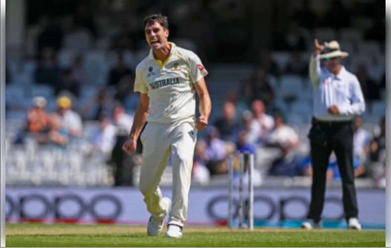 बॉर्डर-गावस्कर सीरीज से पहले पैट कमिंस ने क्यों लिया क्रिकेट से ब्रेक?