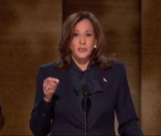 कमला हैरिस ने राष्ट्रपति पद के लिए ‘डेमोक्रेटिक उम्मीदवारी’ स्वीकार की, अपनी मां को किया याद 