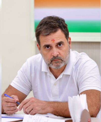 वायनाड के लिए पर्यटन एक महत्वपूर्ण पहलू है : राहुल गांधी 