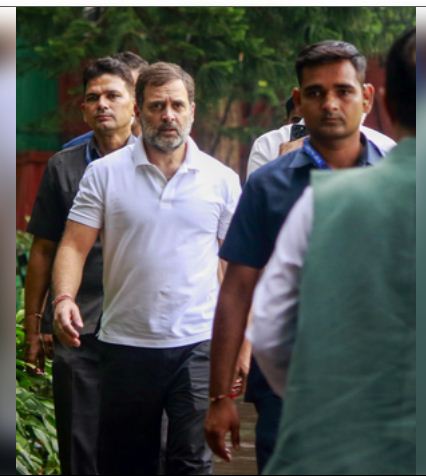 जम्मू-कश्मीर विधानसभा चुनाव के रण में आज उतरेंगे राहुल गांधी, दो रैलियों को करेंगे संबोधित 