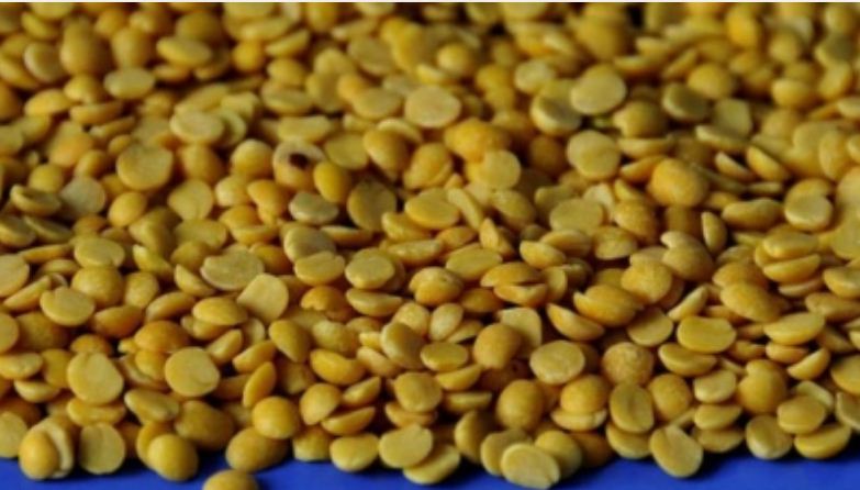 चने की दाल के साथ सौंफ खाए, चेहरा दमक उठेगा नहीं रहेगा झुर्रियों का खौफ