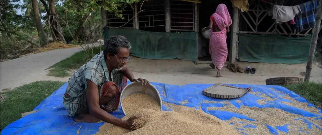 भारत ने गैर-बासमती चावल के निर्यात को दिखाई हरी झंडी